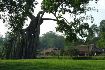 Historic Tan Trao area